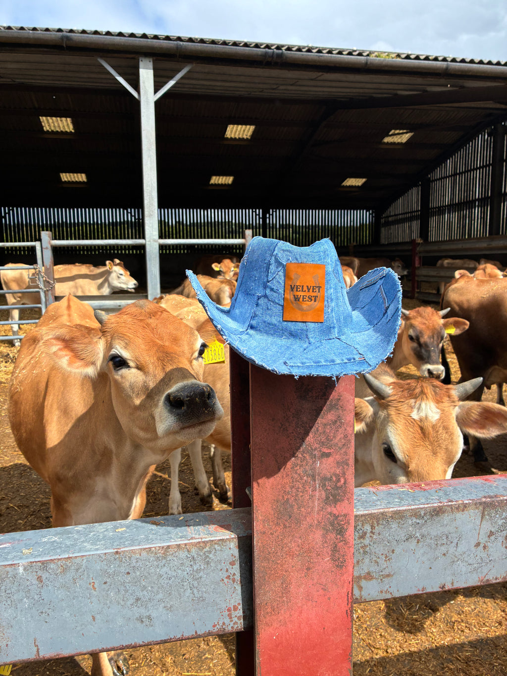 The Dixie Denim Cowboy Hat