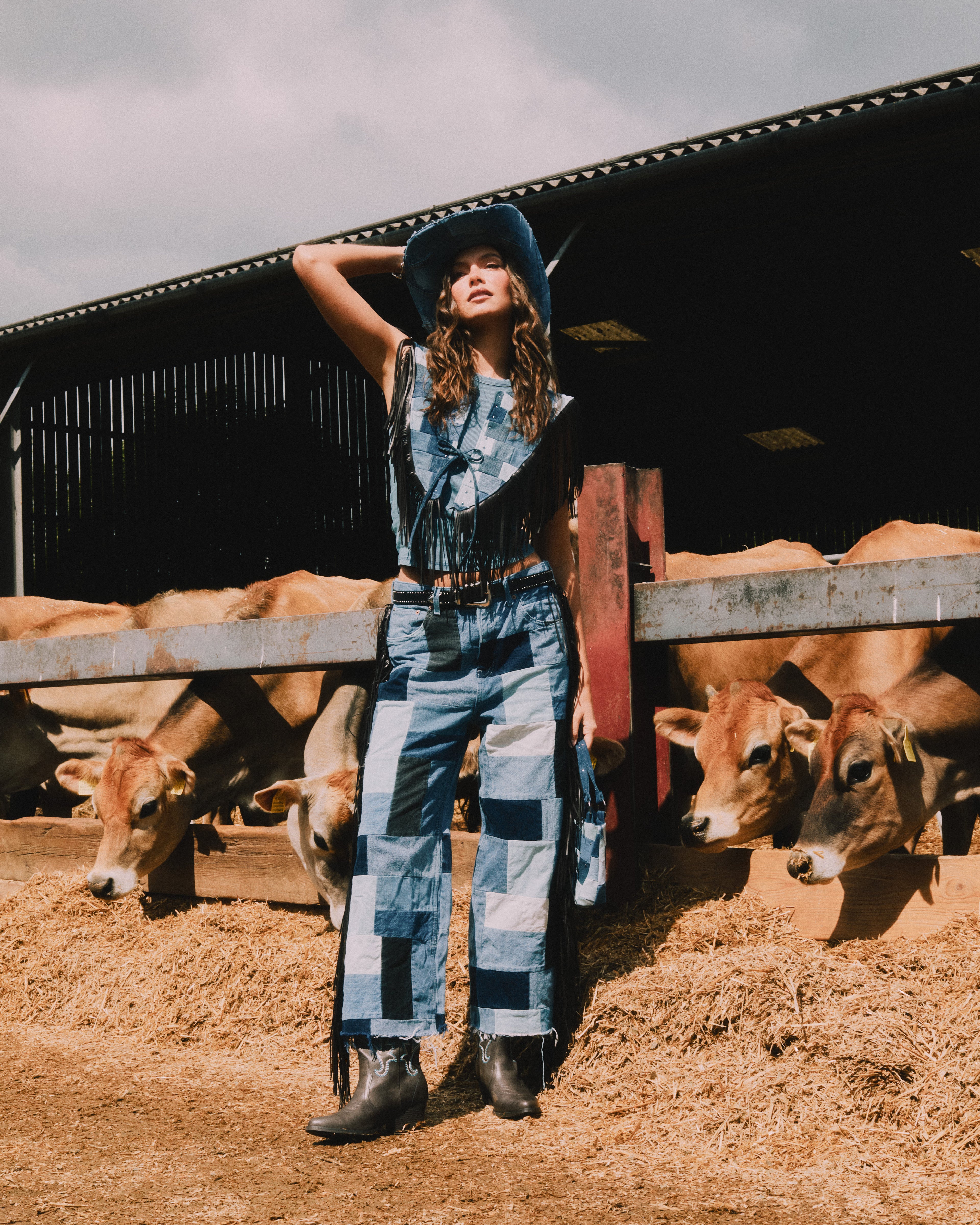 The Dixie Denim Collar