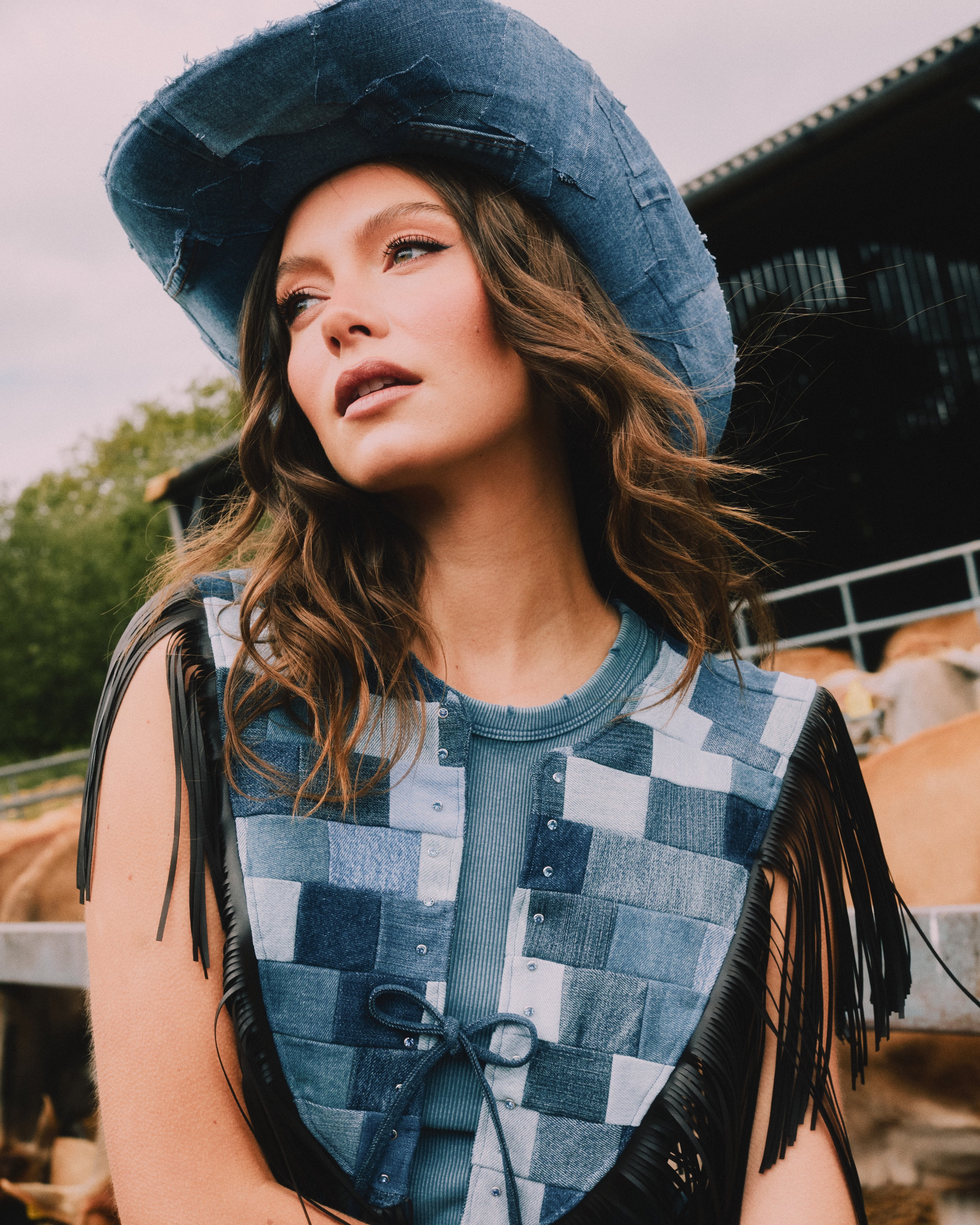 The Dixie Denim Collar